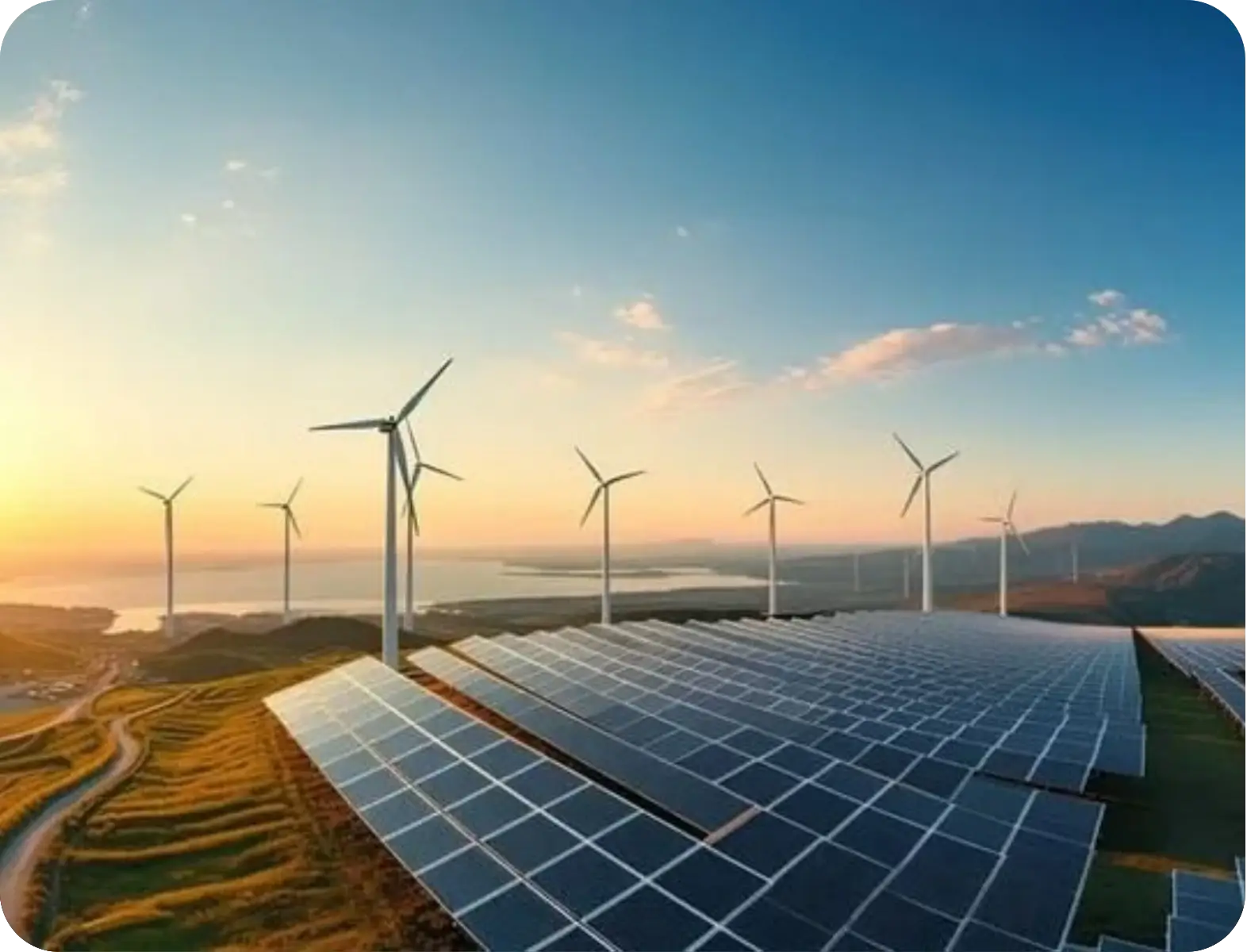 Solar panels and wind turbines